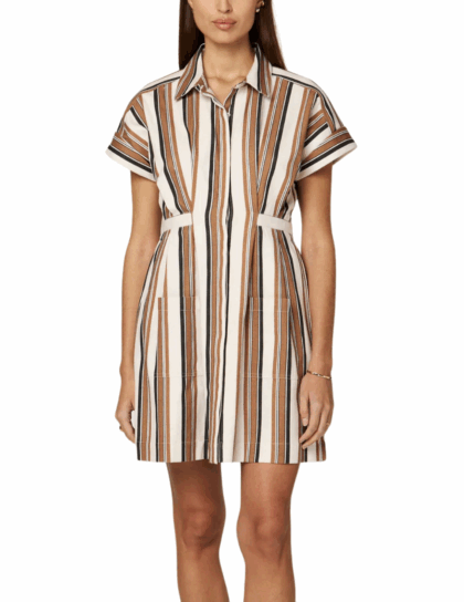 Sable Mini Dress