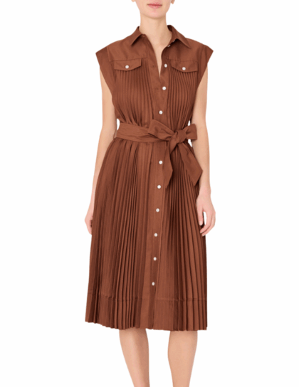 Pleated Maxi Dress | Brown