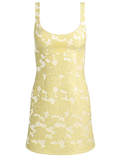 Charlotte Mini Dress | Butter